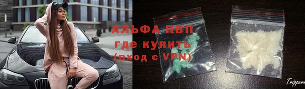 бошки Аркадак