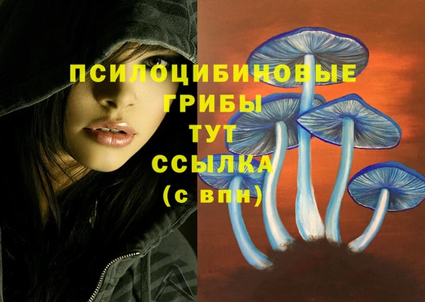 амфетамин Арсеньев