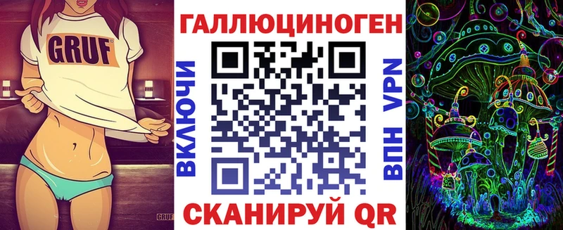 Галлюциногенные грибы Psilocybe  где купить наркоту  Тырныауз 