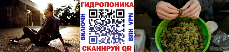Бошки марихуана OG Kush  Тырныауз 